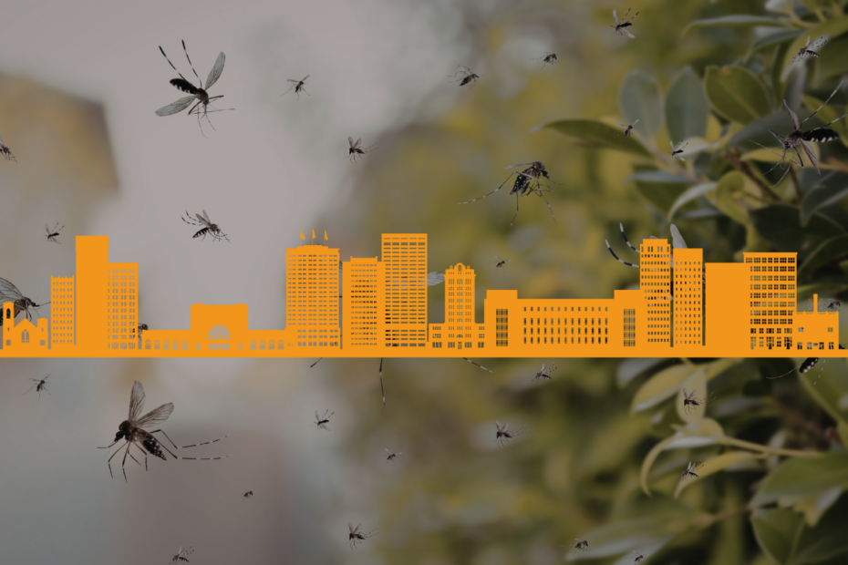 What Pests To Expect In Chattanooga This May