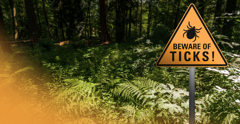 Forest background with a sign that reads "BEWARE OF TICKS!"