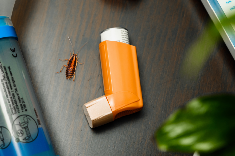 An image of a cockroach sitting next to an orange inhaler.