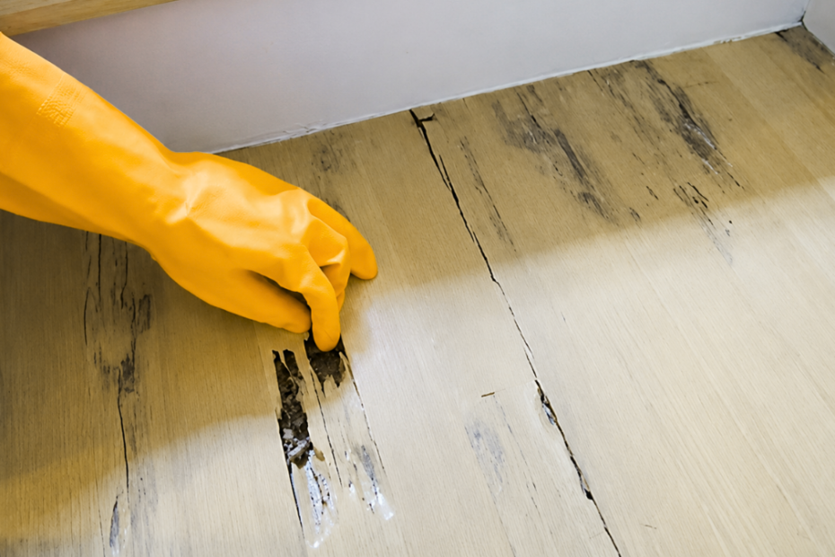 Image showing someone wearing an orange rubber glove pointing out pest damage on a wooden floor.
